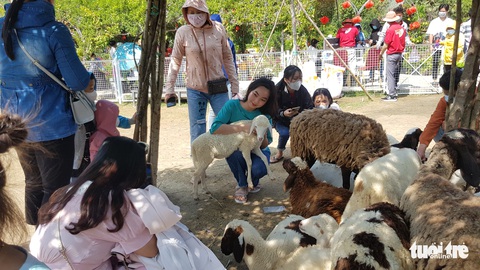 An Giang: Khu du lịch tăng giá vé gấp đôi dịp Tết vì thấy hút khách? - Ảnh 2. An Giang: Khu du lịch tăng giá vé gấp đôi dịp Tết vì thấy hút khách? - Ảnh 2.