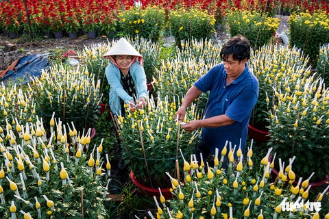 Thi ảnh Nụ xuân: Những con ong chăm chỉ ngày xuân - Ảnh 8. Thi ảnh Nụ xuân: Những con ong chăm chỉ ngày xuân - Ảnh 8.