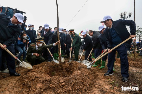 Chủ tịch nước đánh trống phát động Tết trồng cây xuân Nhâm Dần - Ảnh 2. Chủ tịch nước đánh trống phát động Tết trồng cây xuân Nhâm Dần - Ảnh 2.