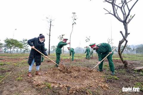 Chủ tịch nước đánh trống phát động Tết trồng cây xuân Nhâm Dần - Ảnh 6. Chủ tịch nước đánh trống phát động Tết trồng cây xuân Nhâm Dần - Ảnh 6.