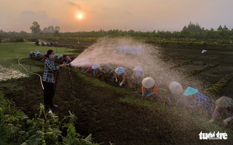 Thi ảnh Nụ xuân: Những con ong chăm chỉ ngày xuân - Ảnh 1. Thi ảnh Nụ xuân: Những con ong chăm chỉ ngày xuân - Ảnh 1.
