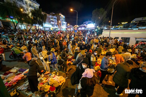 Ồ ạt khách du xuân, Đà Lạt trở thành biển người - Ảnh 5. Ồ ạt khách du xuân, Đà Lạt trở thành biển người - Ảnh 5.