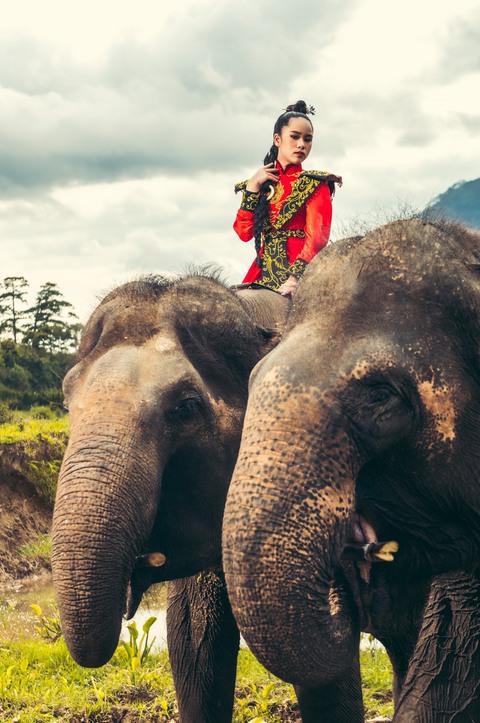 Phương Hồ quảng bá văn hóa, cảnh sắc Việt Nam ra quốc tế qua trang phục dân tộc - Ảnh 16. Phương Hồ quảng bá văn hóa, cảnh sắc Việt Nam ra quốc tế qua trang phục dân tộc - Ảnh 16.
