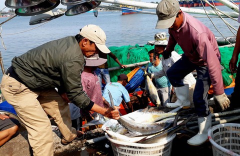 Gio Linh mở rộng cửa đón nhà đầu tư - Ảnh 5. Gio Linh mở rộng cửa đón nhà đầu tư - Ảnh 5.
