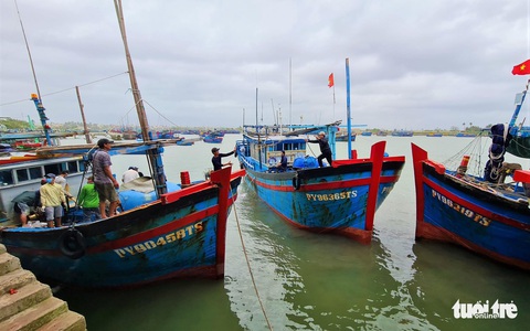 Tín hiệu vui đầu năm về một mùa biển khẳm thuyền - Ảnh 1. Tín hiệu vui đầu năm về một mùa biển khẳm thuyền - Ảnh 1.