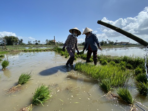 Nông dân làm... mo đồ du lịch - Ảnh 2. Nông dân làm... mo đồ du lịch - Ảnh 2.