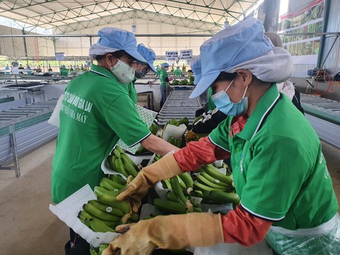 Có giúp nông dân, nông nghiệp mới thay đổi - Ảnh 1. Có giúp nông dân, nông nghiệp mới thay đổi - Ảnh 1.