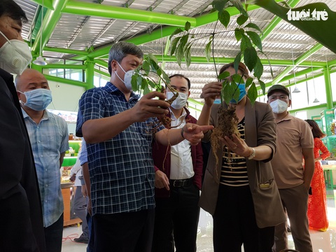 Quảng Nam khai trương nhà mới chuyên giới thiệu sâm Ngọc Linh - Ảnh 1. Quảng Nam khai trương nhà mới chuyên giới thiệu sâm Ngọc Linh - Ảnh 1.