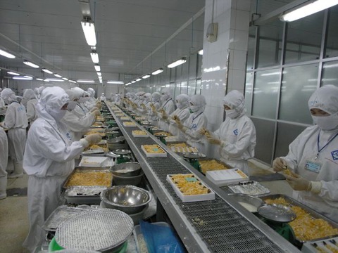 Xuất khẩu tôm Việt sang Mỹ đã hơn 1 tỉ USD - Ảnh 1. Xuất khẩu tôm Việt sang Mỹ đã hơn 1 tỉ USD - Ảnh 1.