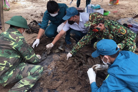Đồng Nai: Phát hiện nhiều bộ hài cốt ở nơi đóng quân của đặc công Rừng Sác - Ảnh 1. Đồng Nai: Phát hiện nhiều bộ hài cốt ở nơi đóng quân của đặc công Rừng Sác - Ảnh 1.