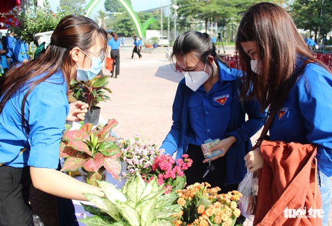 Bán sản phẩm nông nghiệp của nhà nông trẻ - Ảnh 1. Bán sản phẩm nông nghiệp của nhà nông trẻ - Ảnh 1.