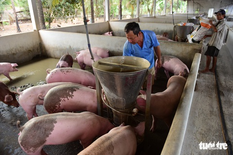 Nông dân lao đao vì giá cả tăng - Ảnh 1. Nông dân lao đao vì giá cả tăng - Ảnh 1.