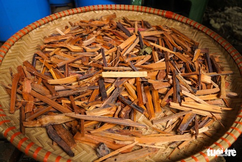 Học quy hoạch tại Đức, trở về lọ mọ nhuộm vải để làm sống lại cổ phục Việt - Ảnh 2. Học quy hoạch tại Đức, trở về lọ mọ nhuộm vải để làm sống lại cổ phục Việt - Ảnh 2.