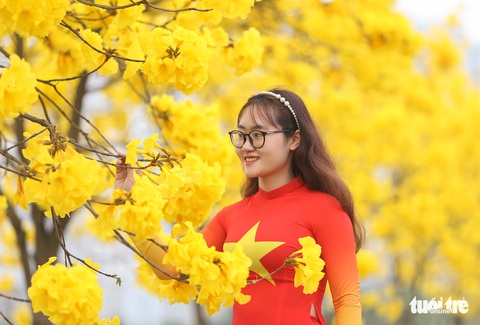 Người Hà Nội tấp nập đến check-in đường hoa phong linh vàng rực - Ảnh 2. Người Hà Nội tấp nập đến check-in đường hoa phong linh vàng rực - Ảnh 2.