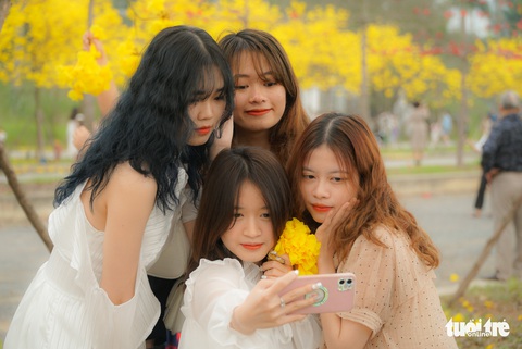 Người Hà Nội tấp nập đến check-in đường hoa phong linh vàng rực - Ảnh 3. Người Hà Nội tấp nập đến check-in đường hoa phong linh vàng rực - Ảnh 3.