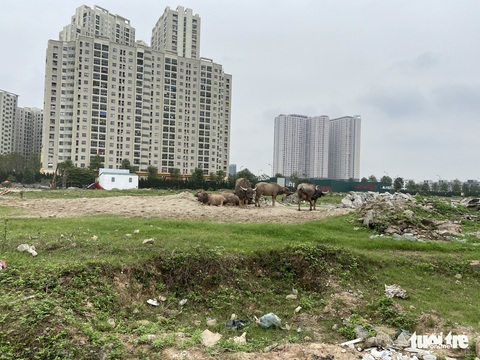 Hàng chục doanh nghiệp ở Thanh Hóa chậm đưa đất vào đầu tư dự án - Ảnh 1. Hàng chục doanh nghiệp ở Thanh Hóa chậm đưa đất vào đầu tư dự án - Ảnh 1.