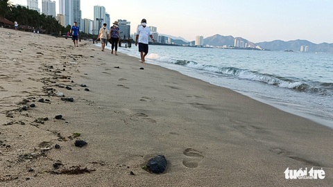 Dầu vón cục dạt vào bãi biển Nha Trang, kéo dài 3km - Ảnh 5. Dầu vón cục dạt vào bãi biển Nha Trang, kéo dài 3km - Ảnh 5.