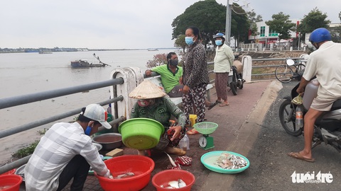 Trung Quốc xả đập thủy điện, mực nước đầu nguồn sông Cửu Long tăng nhẹ - Ảnh 2. Trung Quốc xả đập thủy điện, mực nước đầu nguồn sông Cửu Long tăng nhẹ - Ảnh 2.