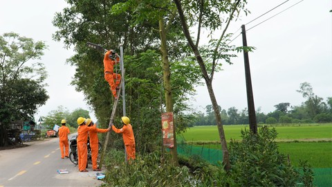 Quảng Trị khởi động Tháng Thanh niên bằng công trình thắp sáng đường quê - Ảnh 1. Quảng Trị khởi động Tháng Thanh niên bằng công trình thắp sáng đường quê - Ảnh 1.