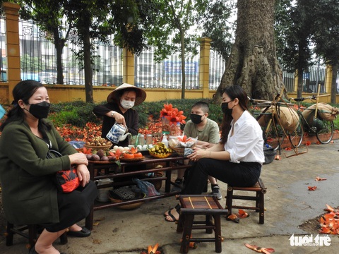 Check-in mùa hoa gạo tháng 3 bên cây gạo già nhất thủ đô - Ảnh 4. Check-in mùa hoa gạo tháng 3 bên cây gạo già nhất thủ đô - Ảnh 4.