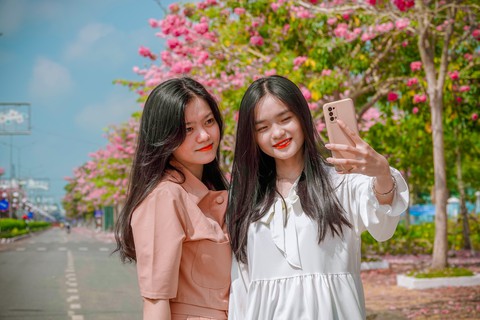 Hút hồn con đường hoa ngập sắc hồng ở Sóc Trăng - Ảnh 5. Hút hồn con đường hoa ngập sắc hồng ở Sóc Trăng - Ảnh 5.