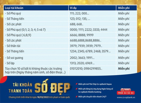Tài khoản số đẹp Co-opBank - Nhiều lựa chọn cho khách hàng - Ảnh 2. Tài khoản số đẹp Co-opBank - Nhiều lựa chọn cho khách hàng - Ảnh 2.