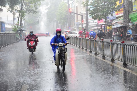 Giữa mùa khô, miền Nam có trận mưa gần 90mm - Ảnh 1. Giữa mùa khô, miền Nam có trận mưa gần 90mm - Ảnh 1.