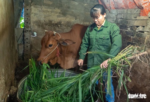 Chương trình Tiếp sức nhà nông hỗ trợ vốn để nông dân nghèo yên tâm ở quê mình - Ảnh 1. Chương trình Tiếp sức nhà nông hỗ trợ vốn để nông dân nghèo yên tâm ở quê mình - Ảnh 1.