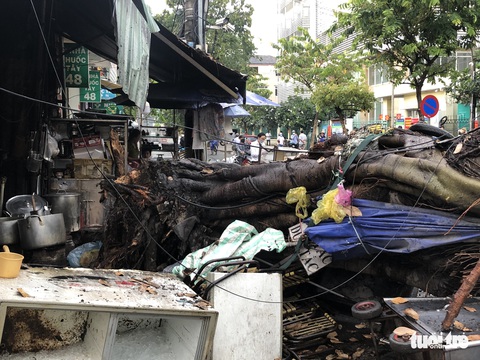Cây cổ thụ bật gốc trong mưa, đè 2 xe công nghệ vừa trả khách - Ảnh 1. Cây cổ thụ bật gốc trong mưa, đè 2 xe công nghệ vừa trả khách - Ảnh 1.