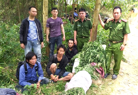 Phát hiện 3 người trồng cần sa, ‘thủ’ súng trái phép trên núi cao - Ảnh 1. Phát hiện 3 người trồng cần sa, ‘thủ’ súng trái phép trên núi cao - Ảnh 1.