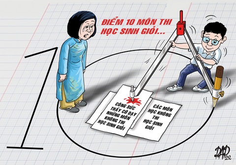 Thi học sinh giỏi để làm gì? - Ảnh 1. Thi học sinh giỏi để làm gì? - Ảnh 1.