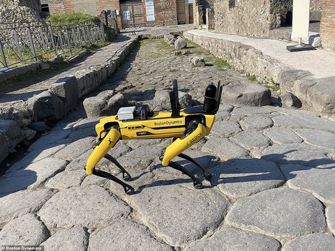 Ý: Chó robot tuần tra an ninh phố cổ thay người - Ảnh 1. Ý: Chó robot tuần tra an ninh phố cổ thay người - Ảnh 1.