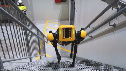 Ý: Chó robot tuần tra an ninh phố cổ thay người - Ảnh 3. Ý: Chó robot tuần tra an ninh phố cổ thay người - Ảnh 3.