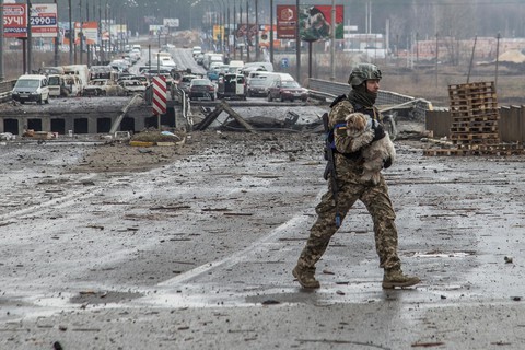 Tổng thống Nga Putin nói chưa đủ điều kiện ngừng bắn ở Ukraine - Ảnh 1. Tổng thống Nga Putin nói chưa đủ điều kiện ngừng bắn ở Ukraine - Ảnh 1.