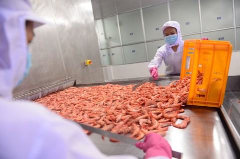 Trung Quốc đưa ra quy định mới về kiểm soát COVID-19 đối với thực phẩm lạnh nhập khẩu - Ảnh 1. Trung Quốc đưa ra quy định mới về kiểm soát COVID-19 đối với thực phẩm lạnh nhập khẩu - Ảnh 1.