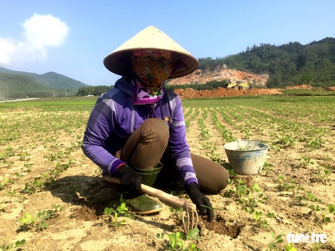 Giá phân bón tăng cao, nông dân gặp khó - Ảnh 1. Giá phân bón tăng cao, nông dân gặp khó - Ảnh 1.