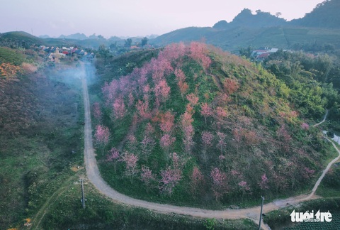 Rời đô thị về quê làm ‘thổ địa Mộc Châu’ - Ảnh 6. Rời đô thị về quê làm ‘thổ địa Mộc Châu’ - Ảnh 6.