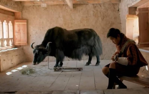 Lunana: A yak in the classroom của Bhutan - Điện ảnh tinh khiết ở nơi cao nhất thế giới - Ảnh 7. Lunana: A yak in the classroom của Bhutan - Điện ảnh tinh khiết ở nơi cao nhất thế giới - Ảnh 7.