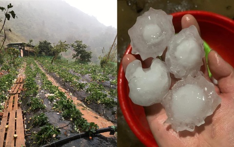 Mưa đá to như quả trứng gà ở Sơn La, nhiều nhà thủng mái - Ảnh 2. Mưa đá to như quả trứng gà ở Sơn La, nhiều nhà thủng mái - Ảnh 2.