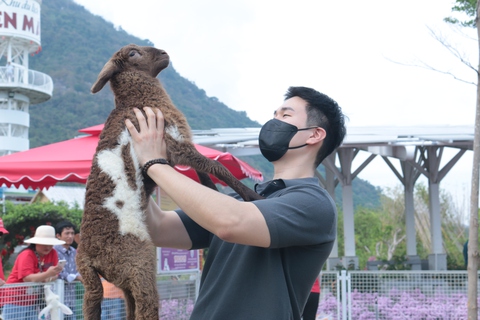 Safari Mặt Trời An Hảo – Khu du lịch kết hợp tham quan nhà máy điện mặt trời - Ảnh 4. Safari Mặt Trời An Hảo – Khu du lịch kết hợp tham quan nhà máy điện mặt trời - Ảnh 4.