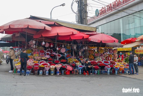 Sát 8-3, chợ hoa lớn nhất Hà Nội vẫn vắng, giá hoa rẻ - Ảnh 3. Sát 8-3, chợ hoa lớn nhất Hà Nội vẫn vắng, giá hoa rẻ - Ảnh 3.