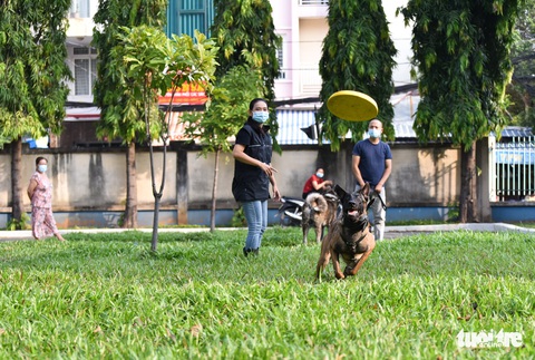 Mẹ đỡ đầu của những chú cún cưng - Ảnh 4. Mẹ đỡ đầu của những chú cún cưng - Ảnh 4.