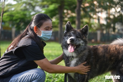 Mẹ đỡ đầu của những chú cún cưng - Ảnh 5. Mẹ đỡ đầu của những chú cún cưng - Ảnh 5.