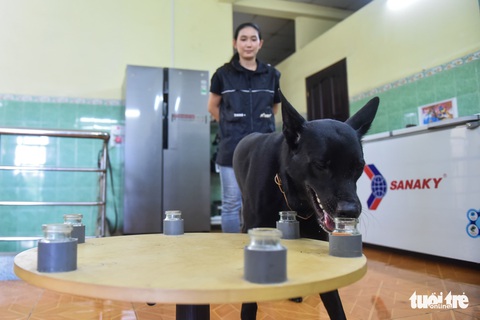 Mẹ đỡ đầu của những chú cún cưng - Ảnh 6. Mẹ đỡ đầu của những chú cún cưng - Ảnh 6.