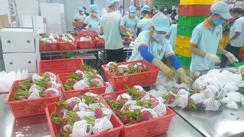 Chi phí đầu vào tăng chóng mặt, nhiều doanh nghiệp mong hỗ trợ thuế, phí - Ảnh 1. Chi phí đầu vào tăng chóng mặt, nhiều doanh nghiệp mong hỗ trợ thuế, phí - Ảnh 1.