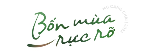 Sắc màu hạnh phúc ở Mù Cang Chải - Ảnh 1.