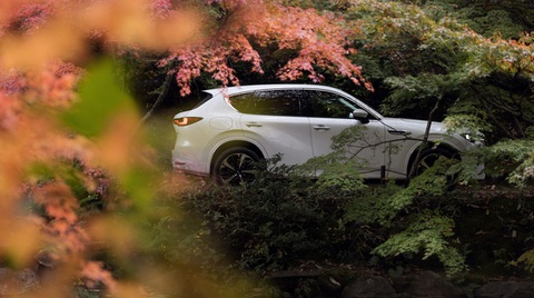 Ra mắt Mazda CX-60 - xe Mazda thương mại mạnh nhất lịch sử - Ảnh 2. Ra mắt Mazda CX-60 - xe Mazda thương mại mạnh nhất lịch sử - Ảnh 2.