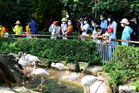 Người dân chen chân đi chơi lễ ở Thảo cầm viên - Ảnh 8. Người dân chen chân đi chơi lễ ở Thảo cầm viên - Ảnh 8.