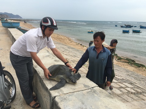 Núi Chúa - rừng thiêng huyền bí - Kỳ 3: Ngủ đêm bên biển canh rùa đẻ - Ảnh 2. Núi Chúa - rừng thiêng huyền bí - Kỳ 3: Ngủ đêm bên biển canh rùa đẻ - Ảnh 2.