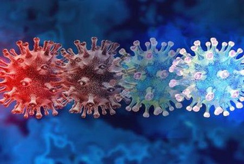 RNA virus SARS-CoV-2 có thể tồn tại trong chất thải người nhiều tháng sau khi mắc COVID-19 - Ảnh 1.